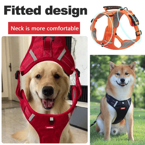 Dog Walking Harness
