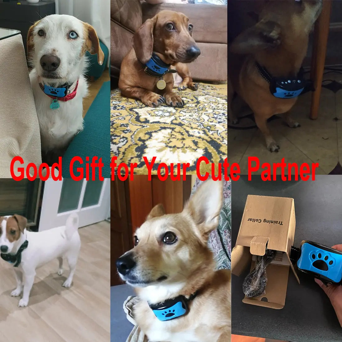 Ultrasonic Anti-Bark Training Collar