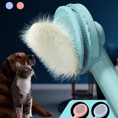 Cat Groomer