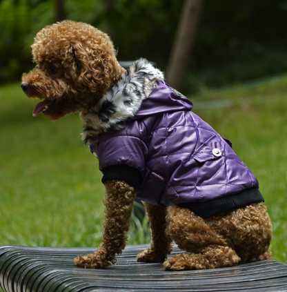 Autumn and Winter Vest