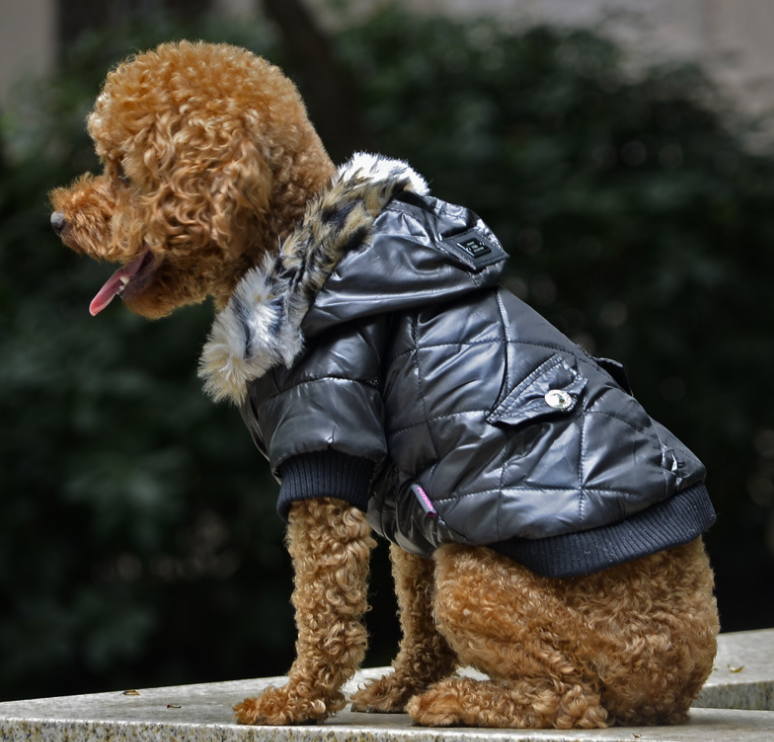 Autumn and Winter Vest