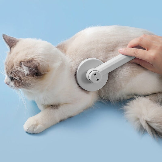 Cat Groomer