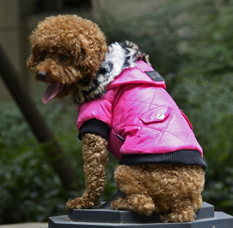 Autumn and Winter Vest