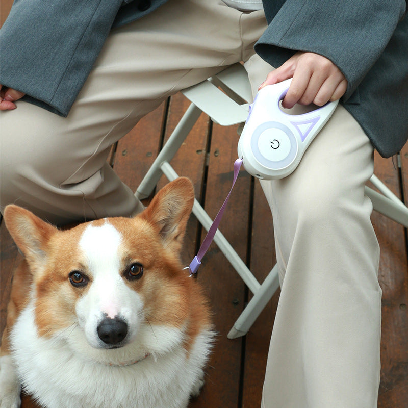 Light-up Retractable Leash