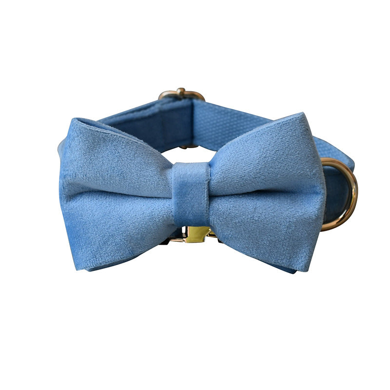 Blue Velvet Collar