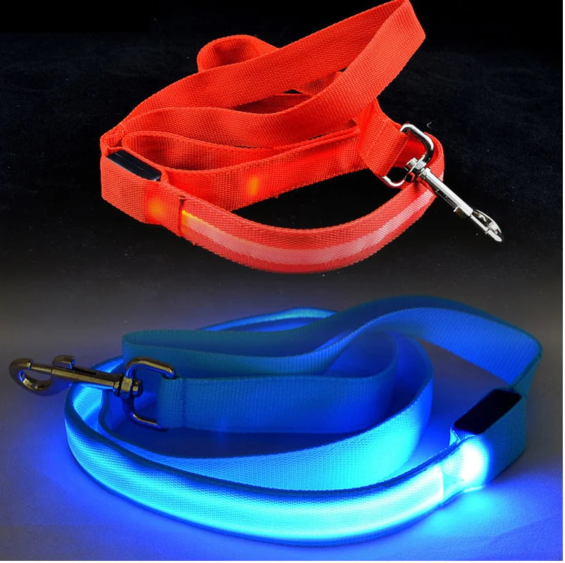 Reflective LED Dog Leash