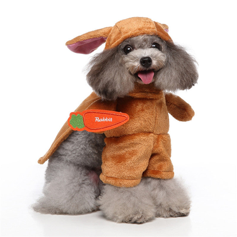 Cute Animal Costumes