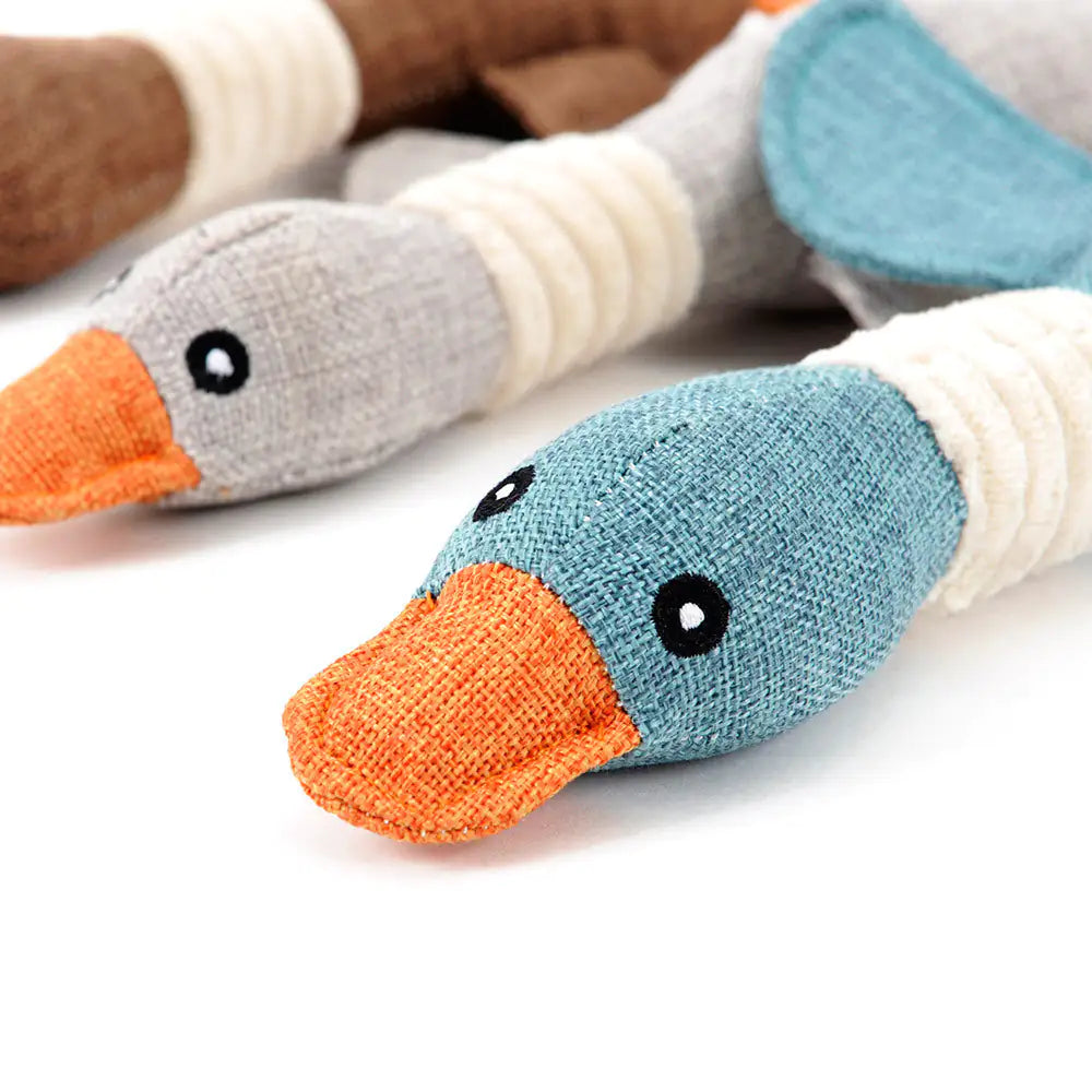 Duck Toy