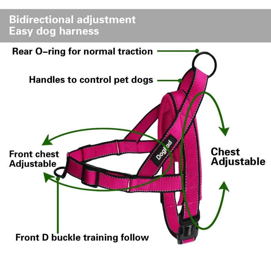 Simple Harness