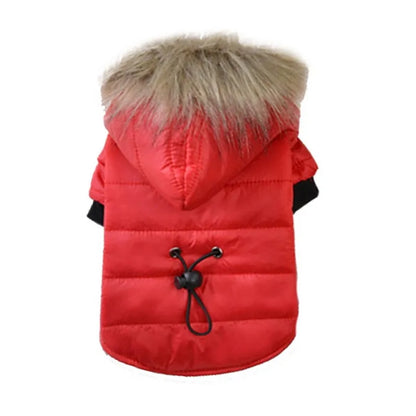 Warm Furr Dog Jackets