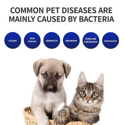 UV Bacteria Eliminating Comb