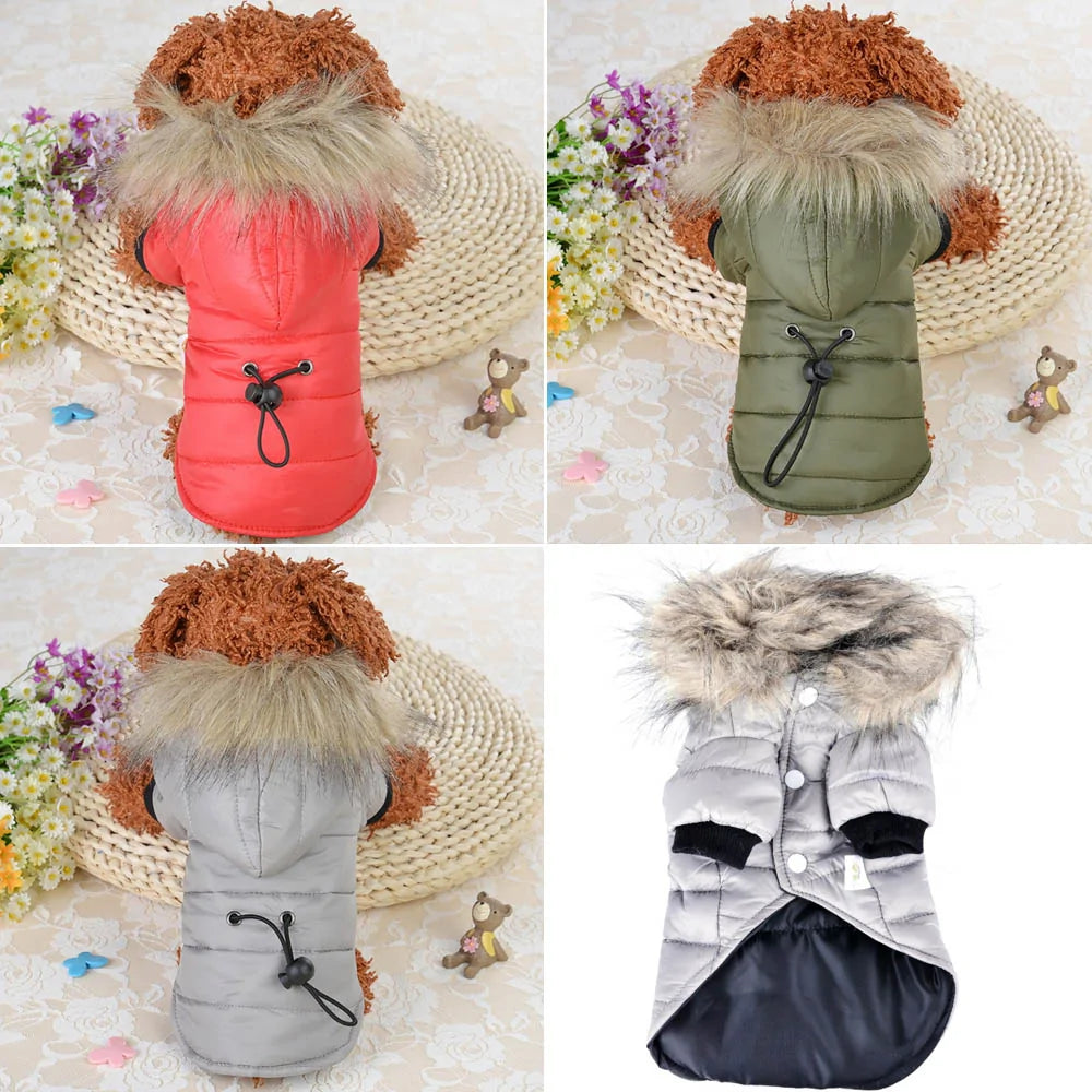 Warm Furr Dog Jackets