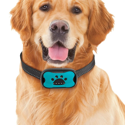 Anti Bark Collar