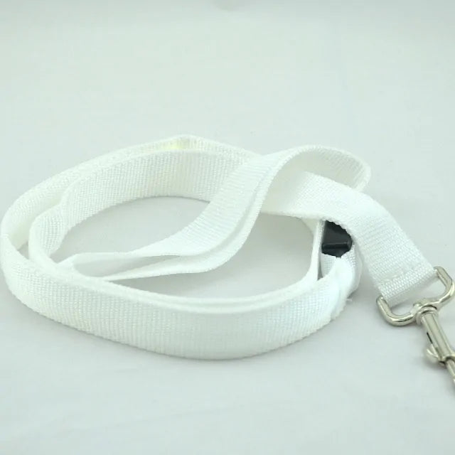 Reflective LED Dog Leash